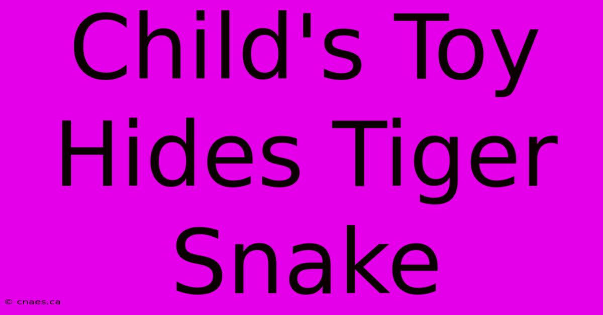 Child's Toy Hides Tiger Snake