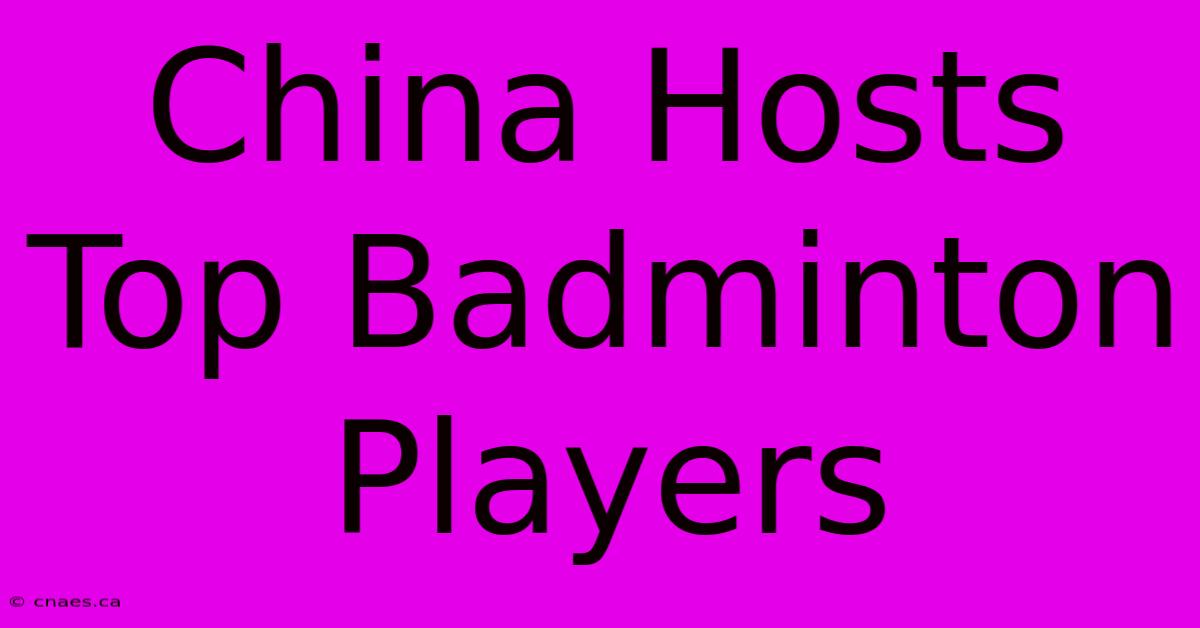 China Hosts Top Badminton Players