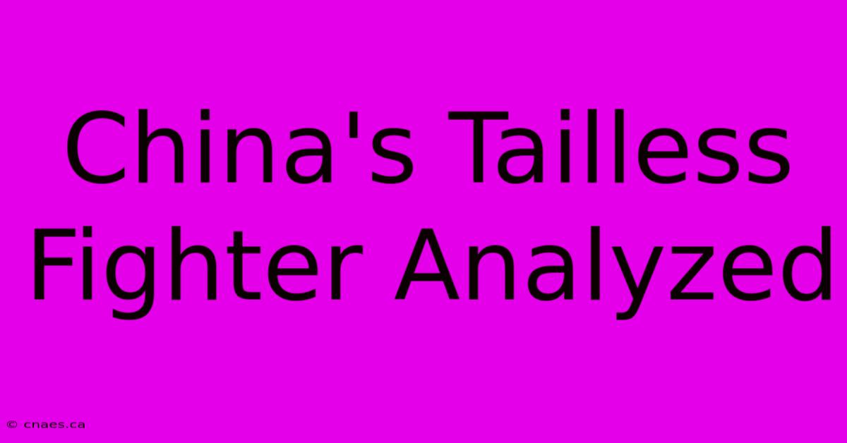 China's Tailless Fighter Analyzed