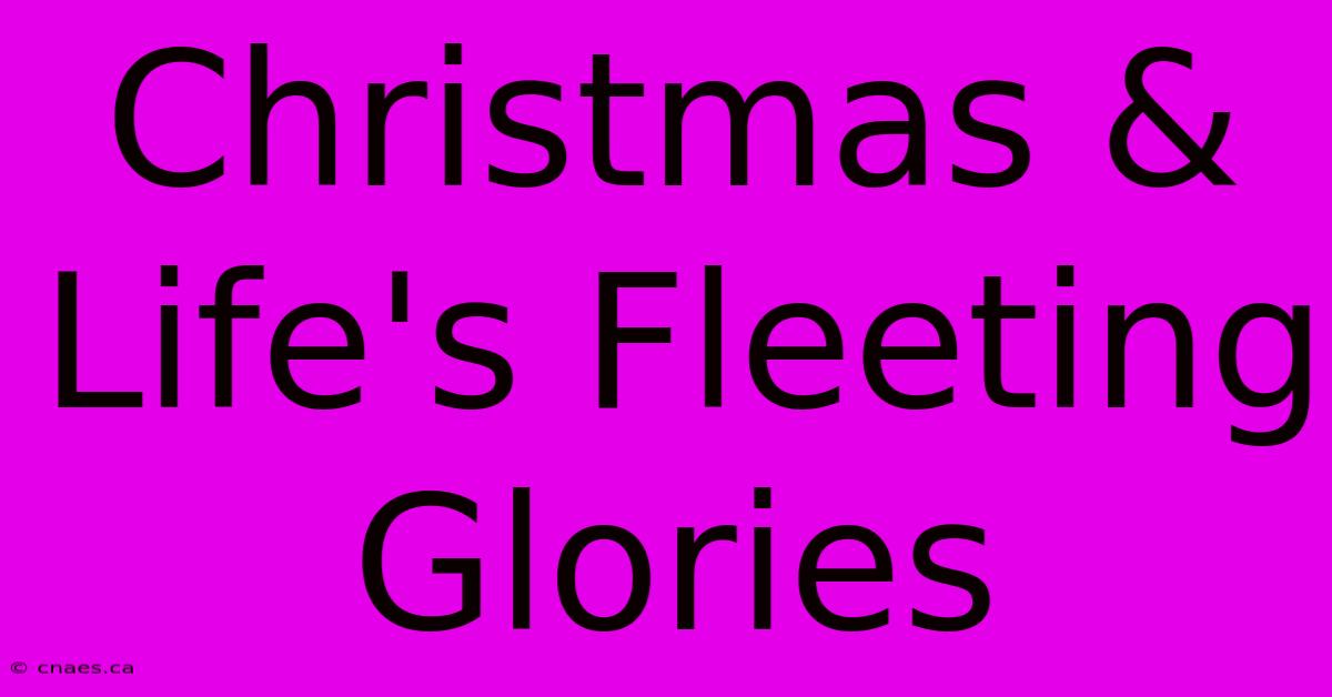 Christmas & Life's Fleeting Glories