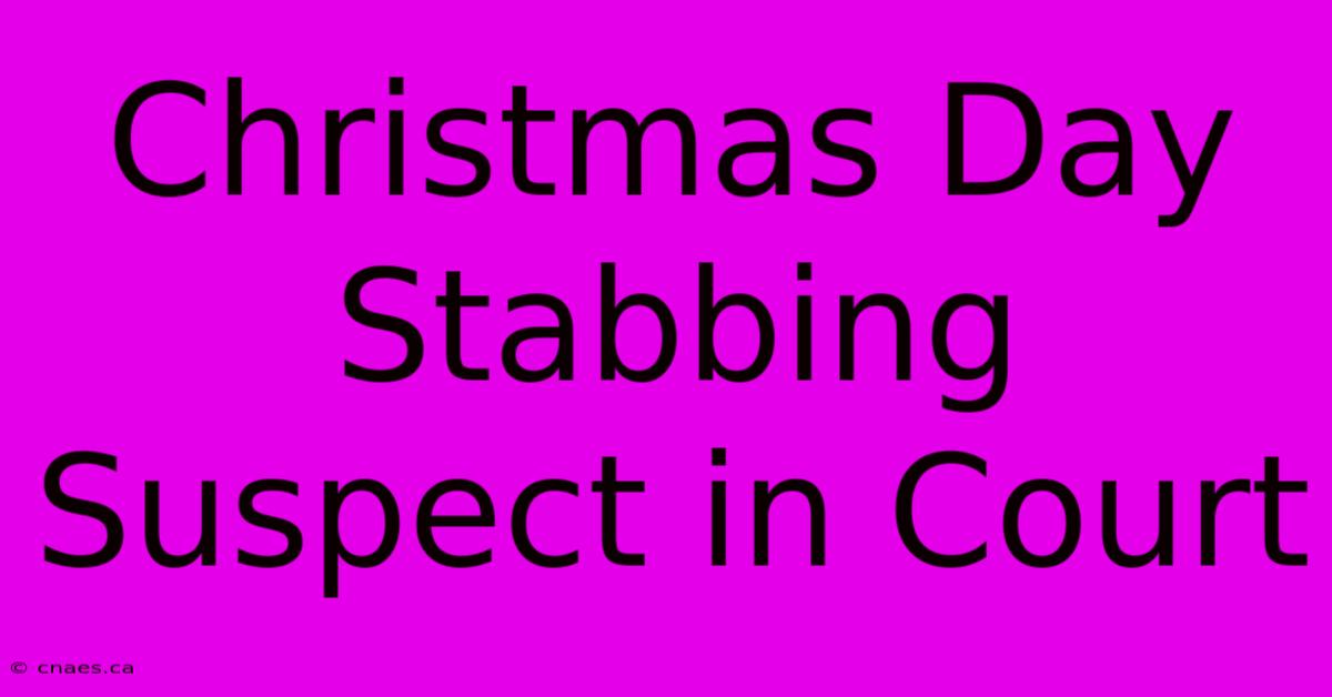 Christmas Day Stabbing Suspect In Court