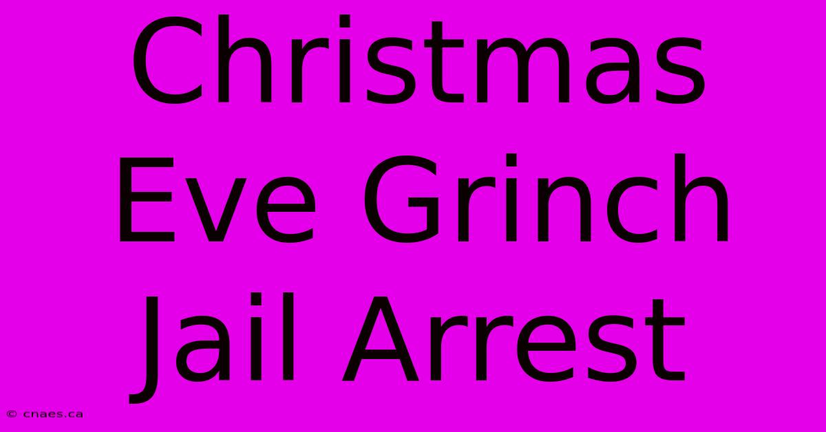 Christmas Eve Grinch Jail Arrest