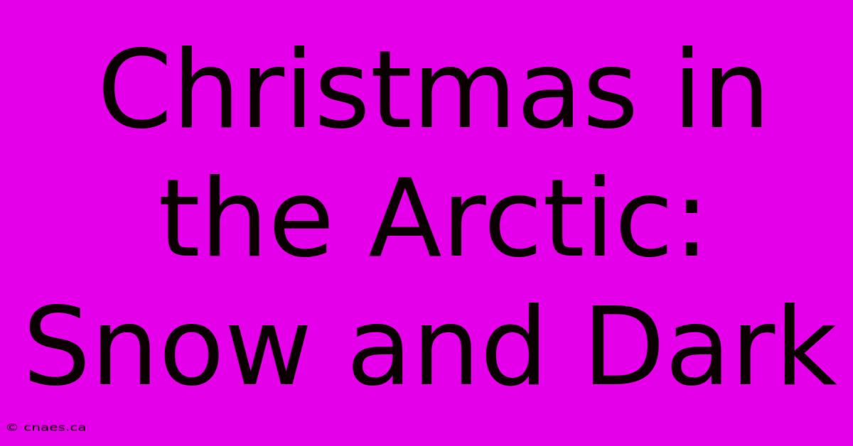 Christmas In The Arctic: Snow And Dark