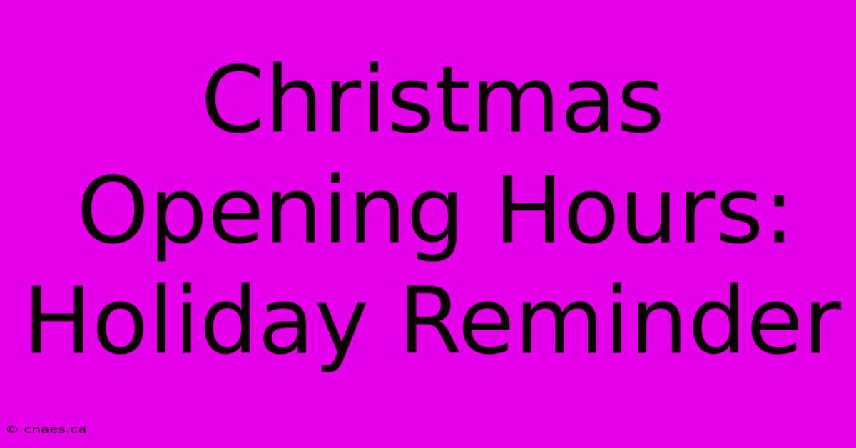 Christmas Opening Hours: Holiday Reminder