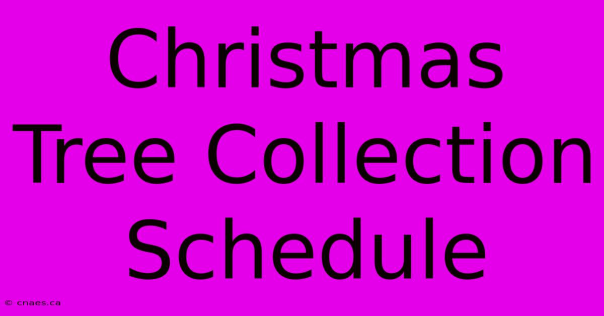 Christmas Tree Collection Schedule