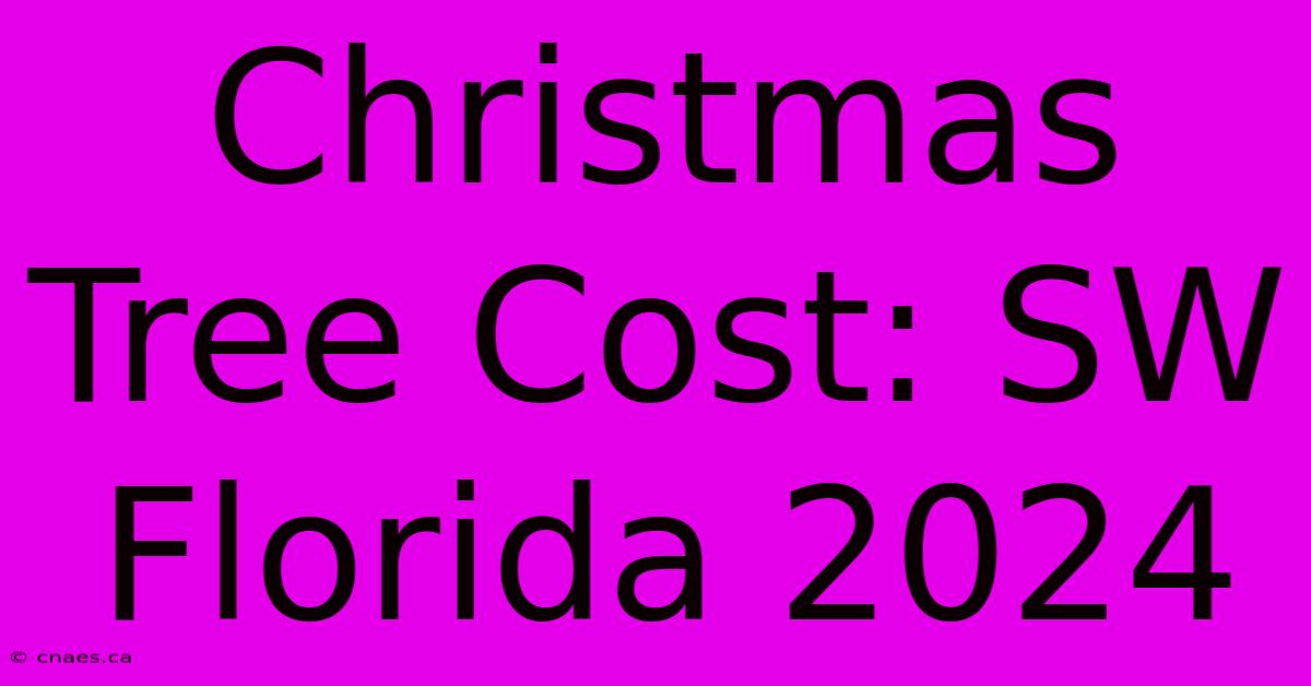 Christmas Tree Cost: SW Florida 2024