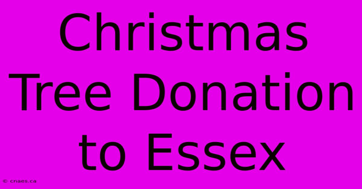 Christmas Tree Donation To Essex