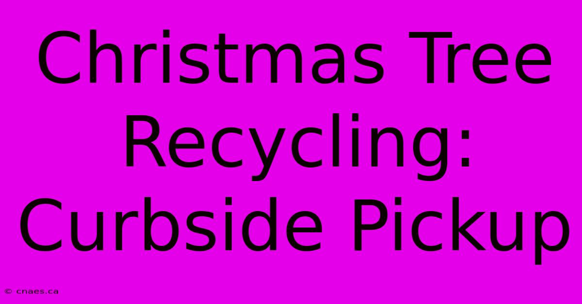 Christmas Tree Recycling: Curbside Pickup