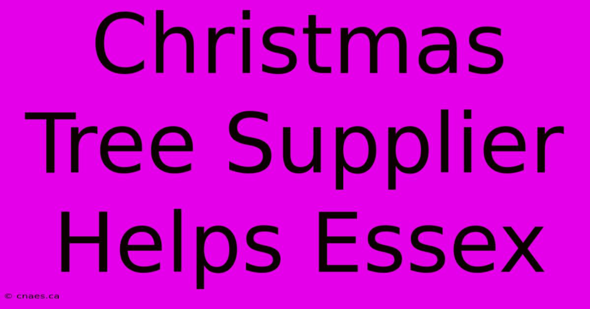 Christmas Tree Supplier Helps Essex