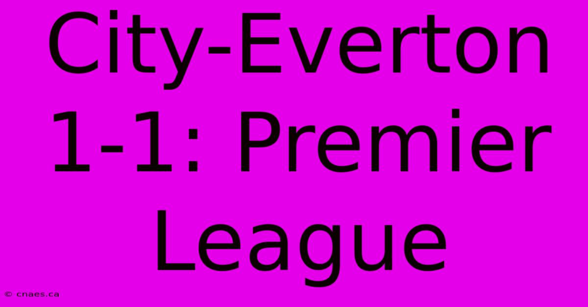 City-Everton 1-1: Premier League