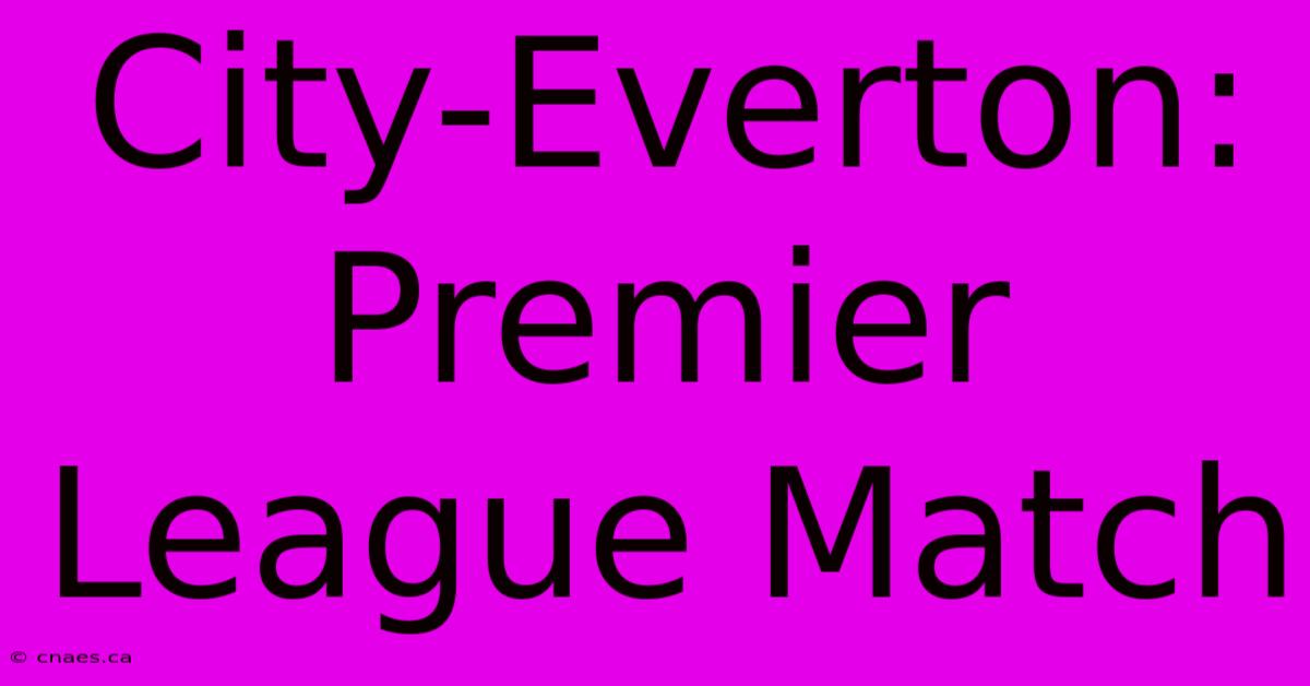 City-Everton: Premier League Match