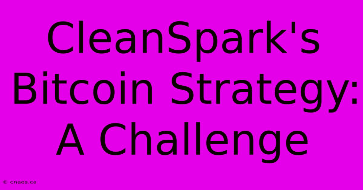 CleanSpark's Bitcoin Strategy: A Challenge