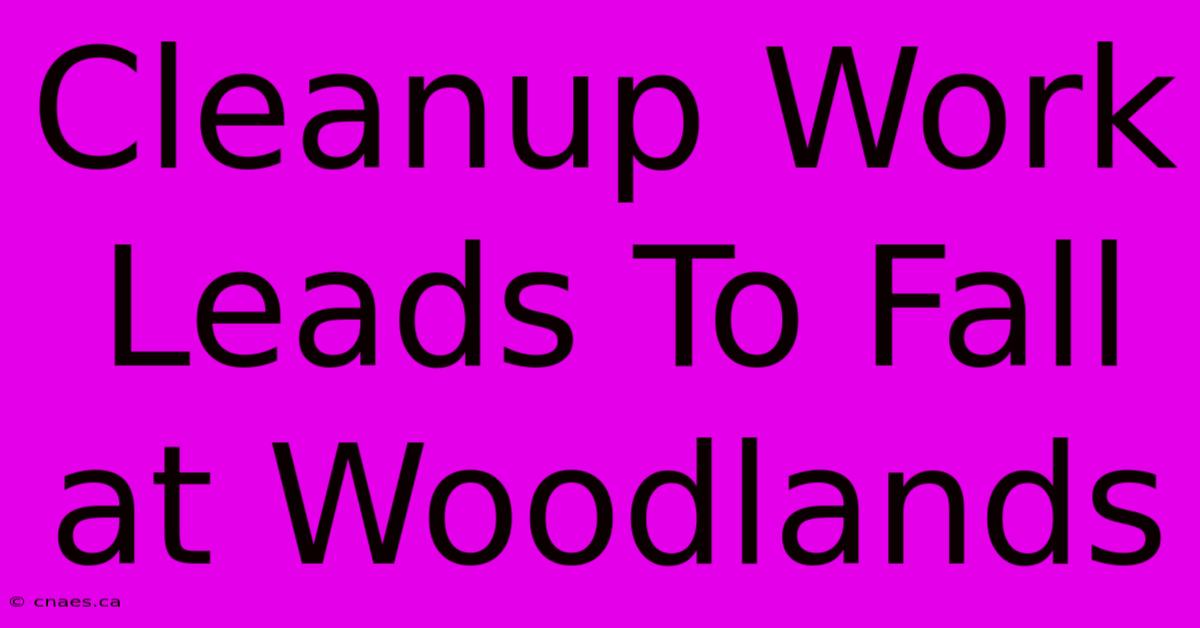 Cleanup Work Leads To Fall At Woodlands 