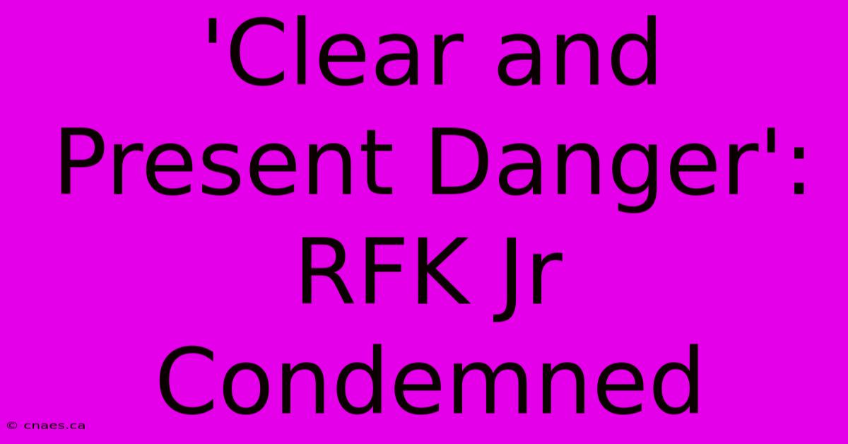 'Clear And Present Danger': RFK Jr Condemned