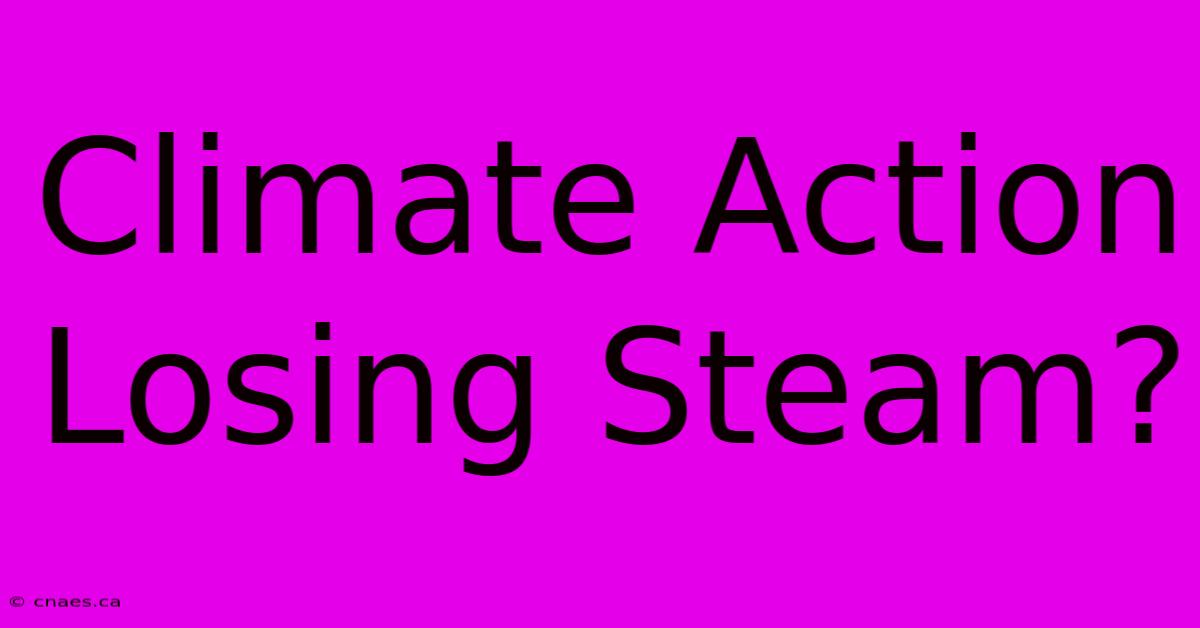 Climate Action Losing Steam?