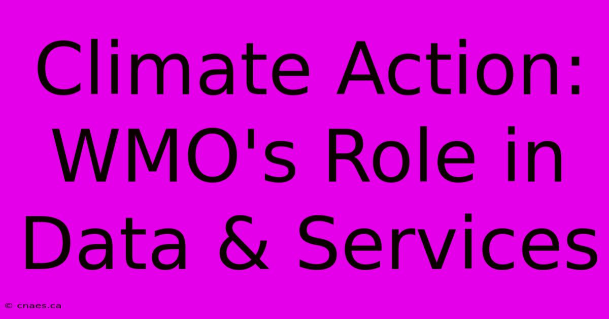 Climate Action: WMO's Role In Data & Services