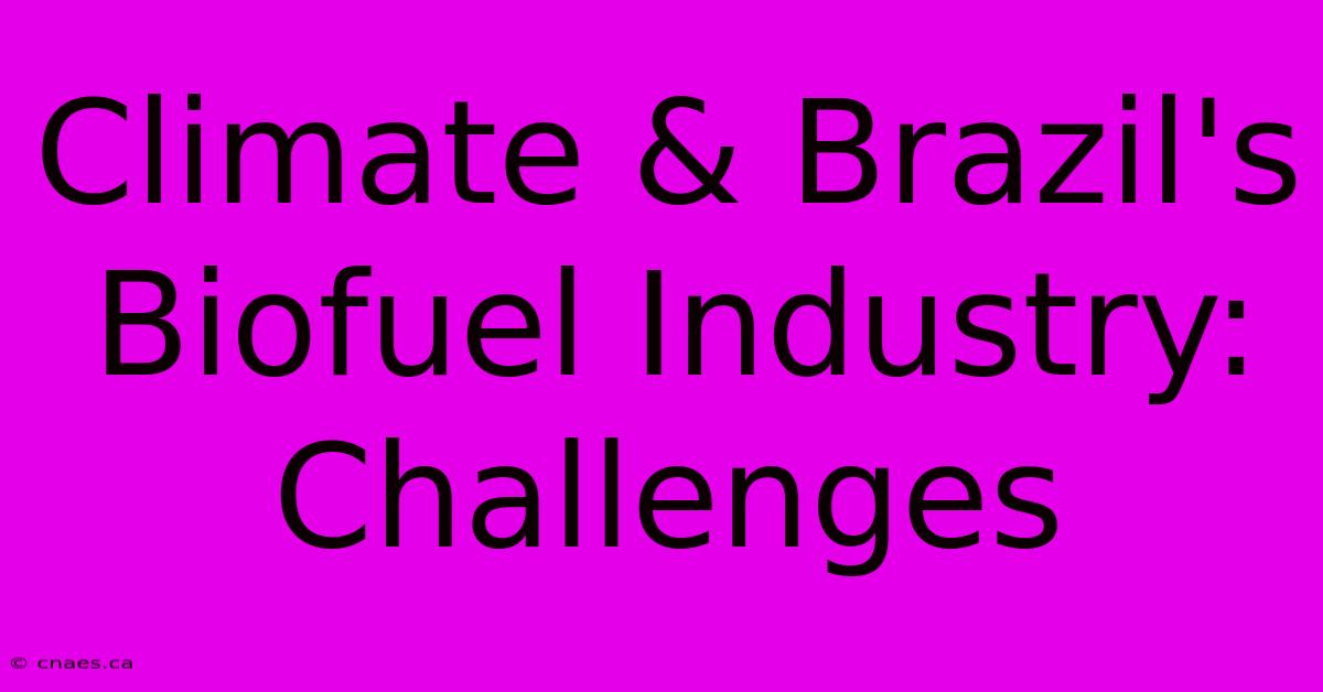 Climate & Brazil's Biofuel Industry: Challenges