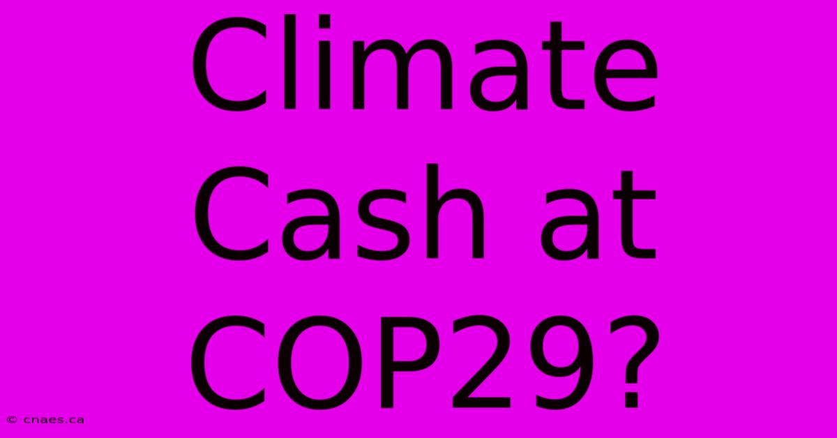 Climate Cash At COP29?