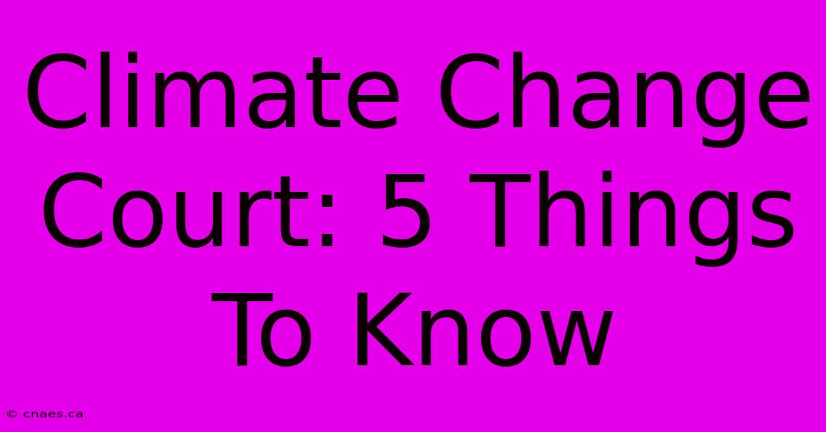 Climate Change Court: 5 Things To Know