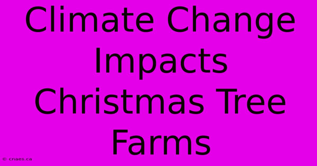 Climate Change Impacts Christmas Tree Farms