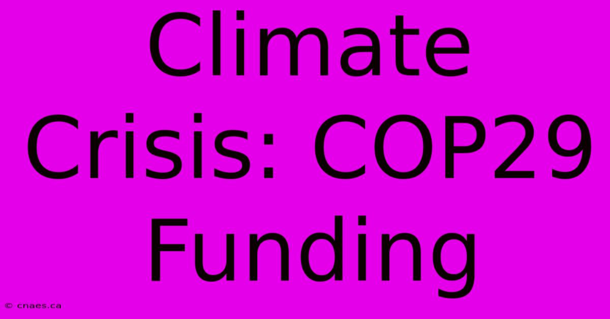 Climate Crisis: COP29 Funding