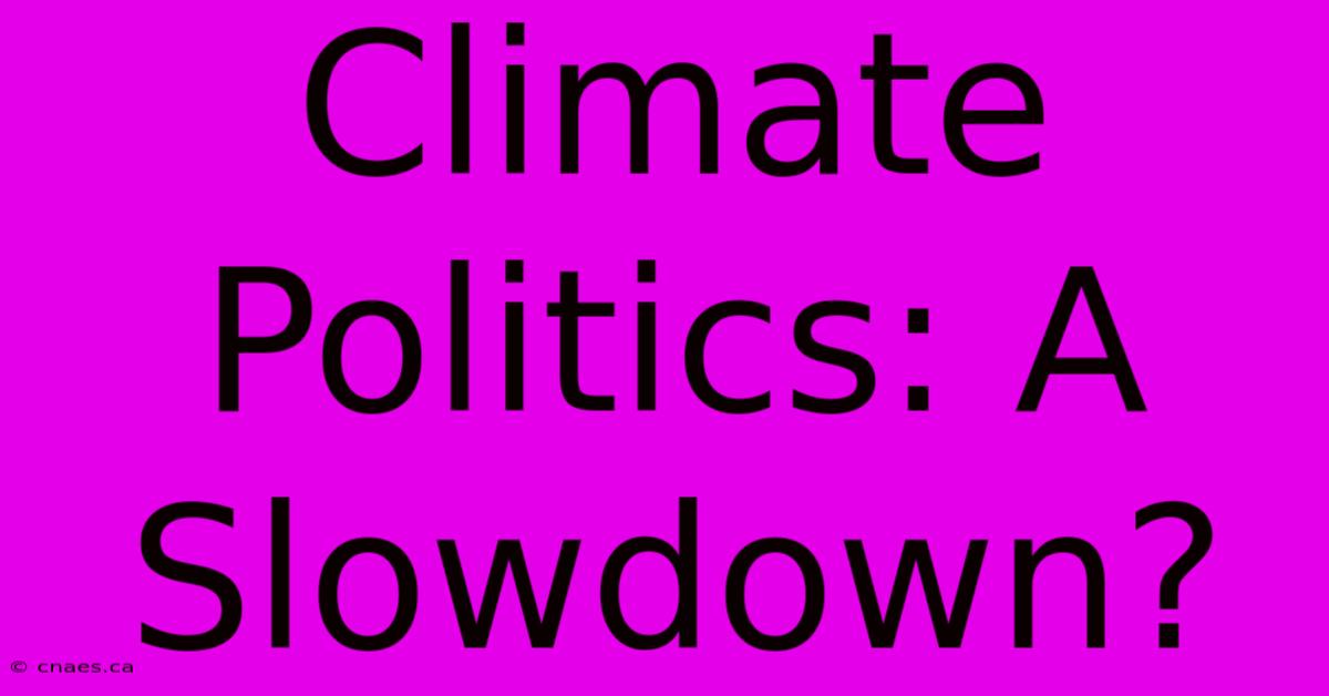 Climate Politics: A Slowdown?