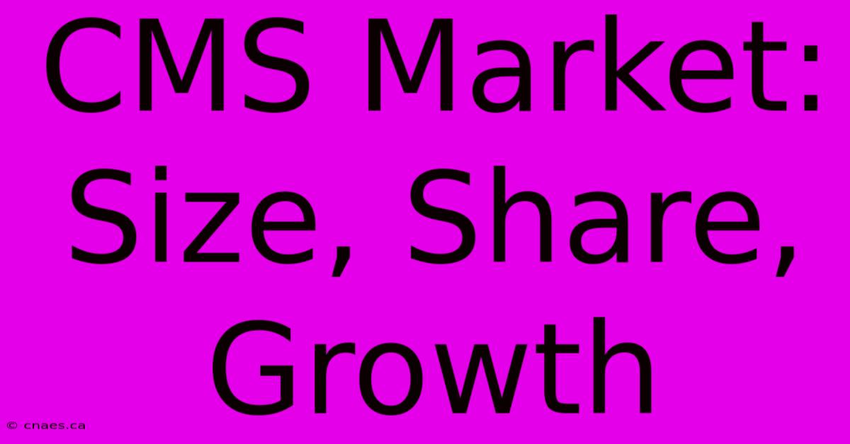 CMS Market: Size, Share, Growth