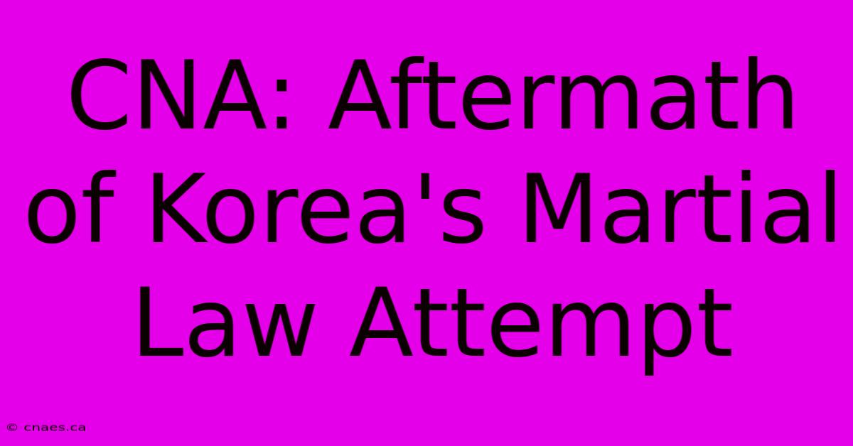 CNA: Aftermath Of Korea's Martial Law Attempt