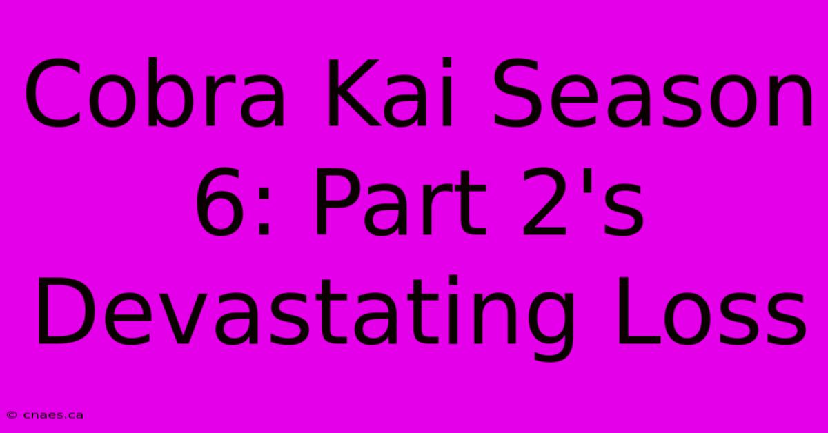 Cobra Kai Season 6: Part 2's Devastating Loss