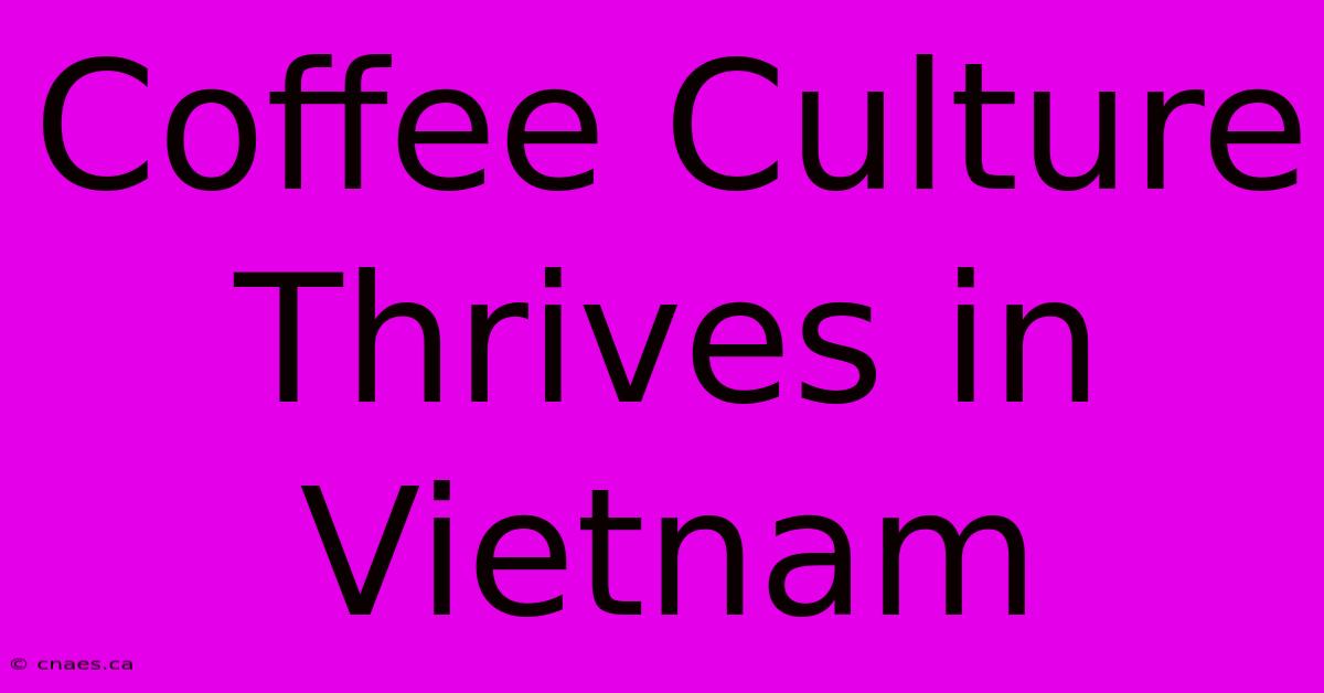 Coffee Culture Thrives In Vietnam