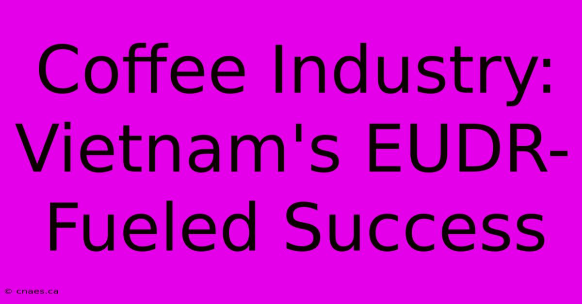 Coffee Industry: Vietnam's EUDR-Fueled Success