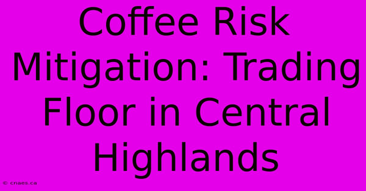 Coffee Risk Mitigation: Trading Floor In Central Highlands