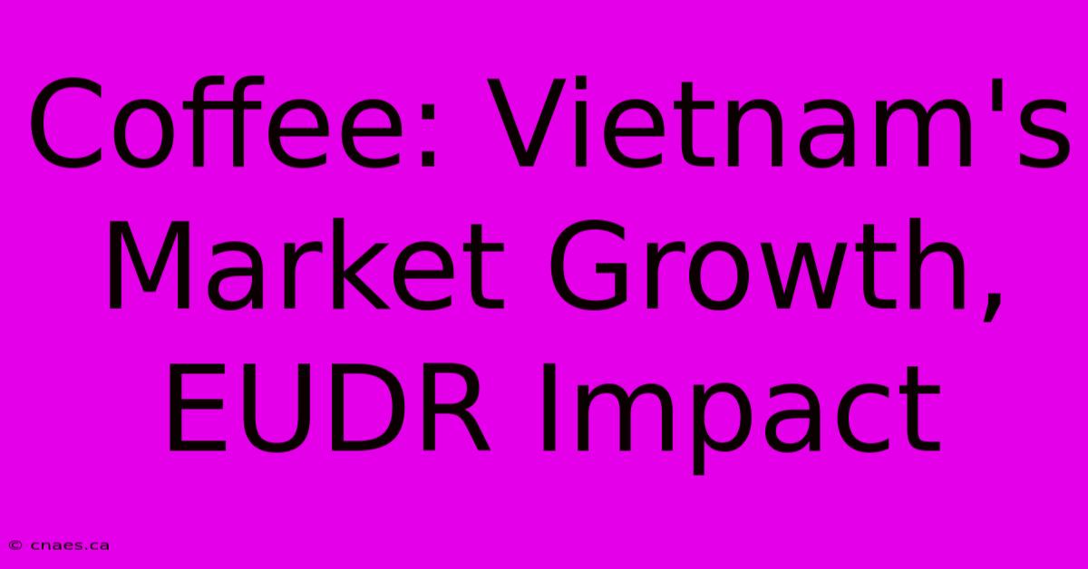 Coffee: Vietnam's Market Growth, EUDR Impact