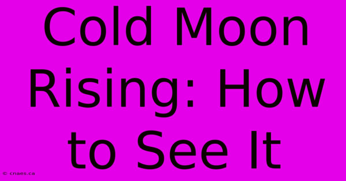 Cold Moon Rising: How To See It