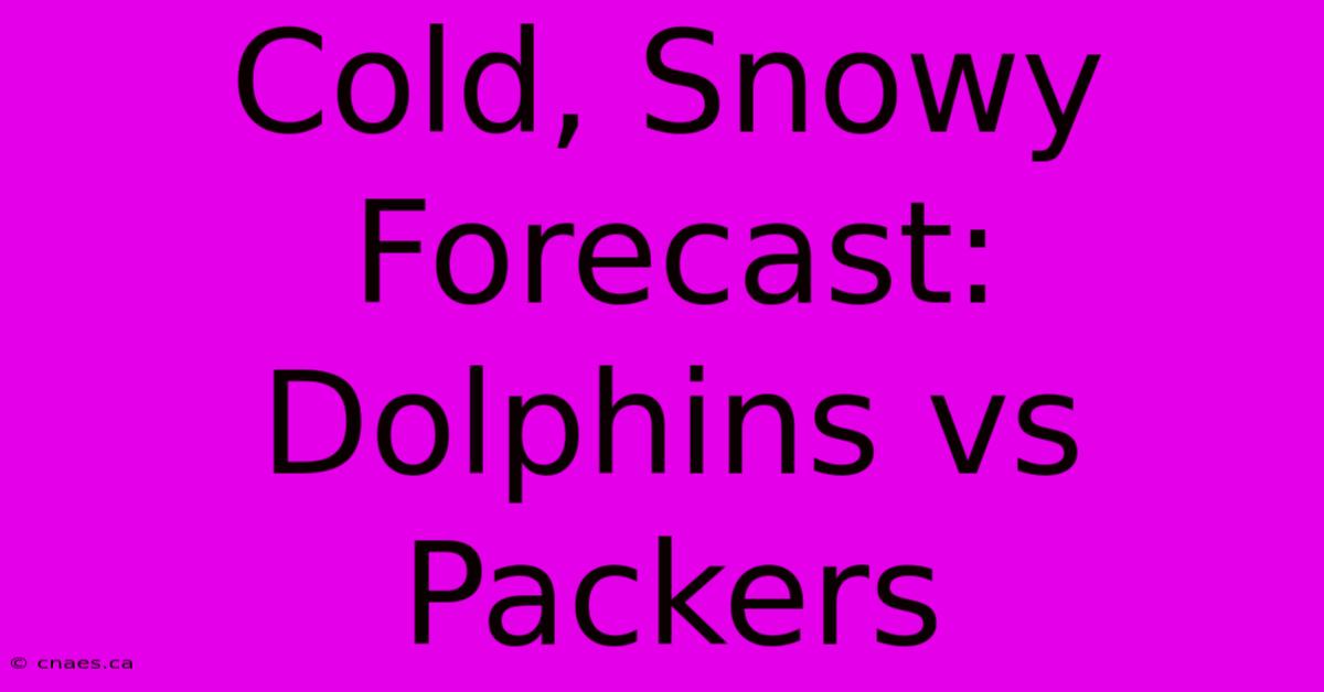 Cold, Snowy Forecast: Dolphins Vs Packers