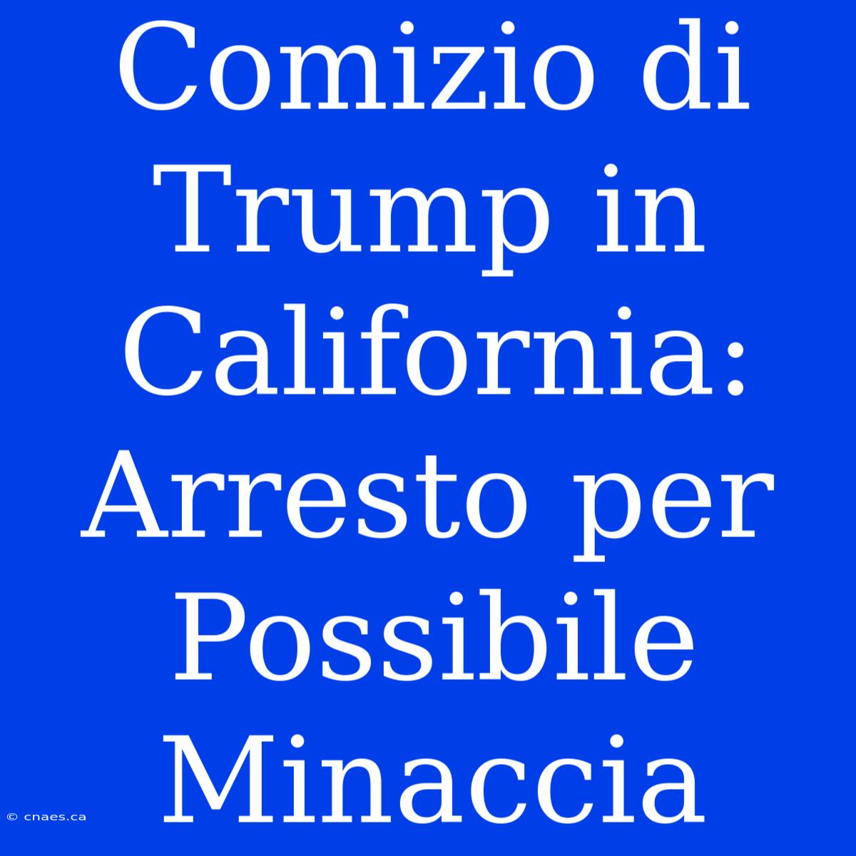 Comizio Di Trump In California: Arresto Per Possibile Minaccia