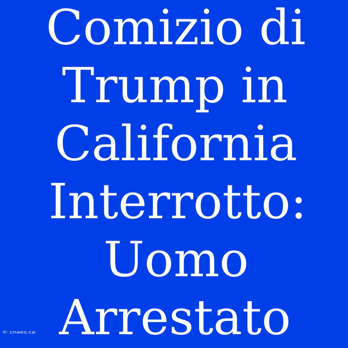 Comizio Di Trump In California Interrotto: Uomo Arrestato