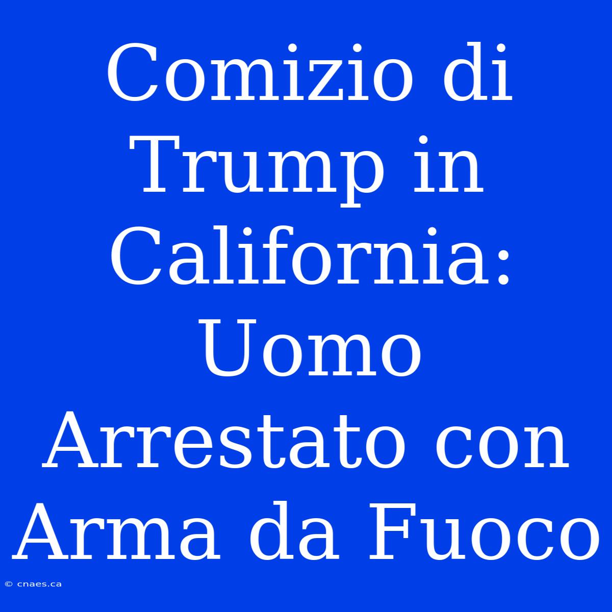 Comizio Di Trump In California: Uomo Arrestato Con Arma Da Fuoco