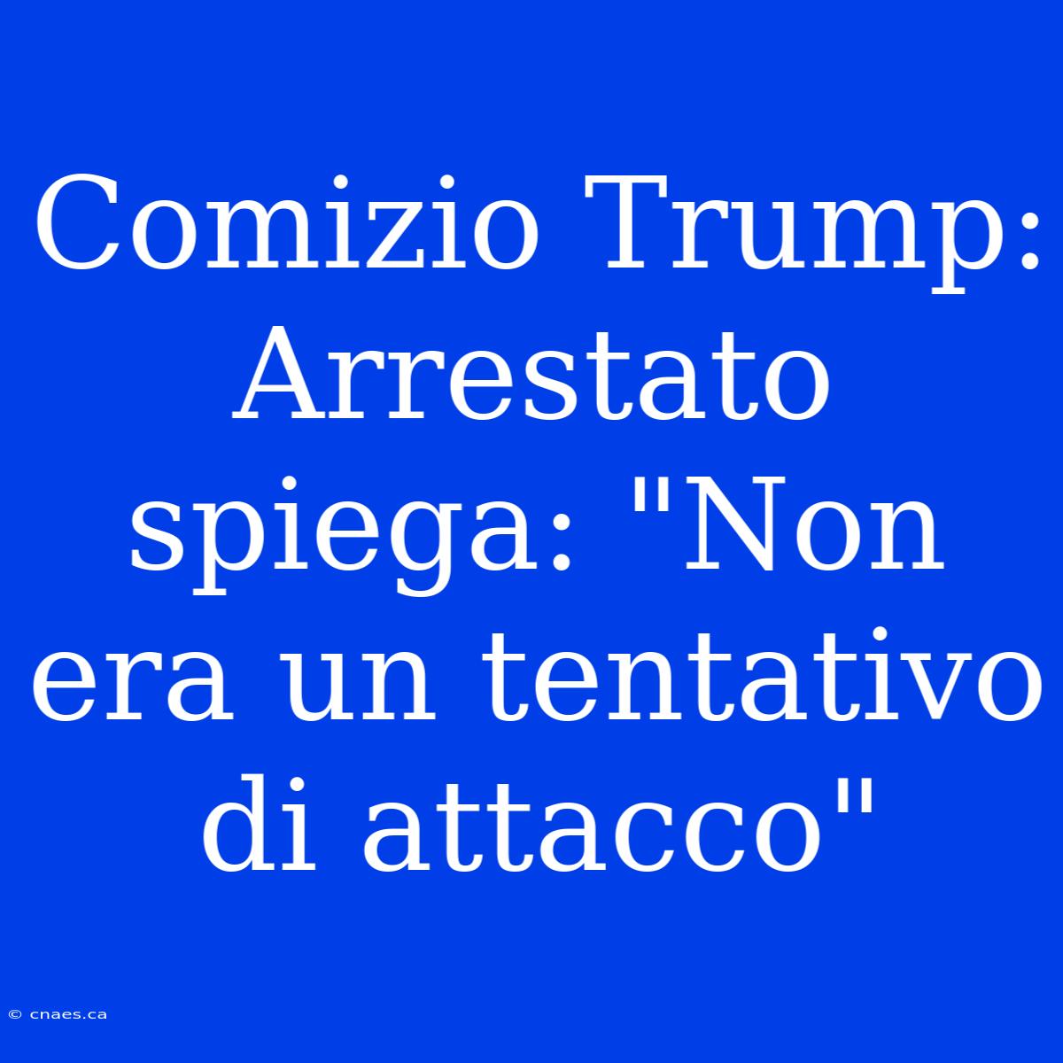 Comizio Trump: Arrestato Spiega: 