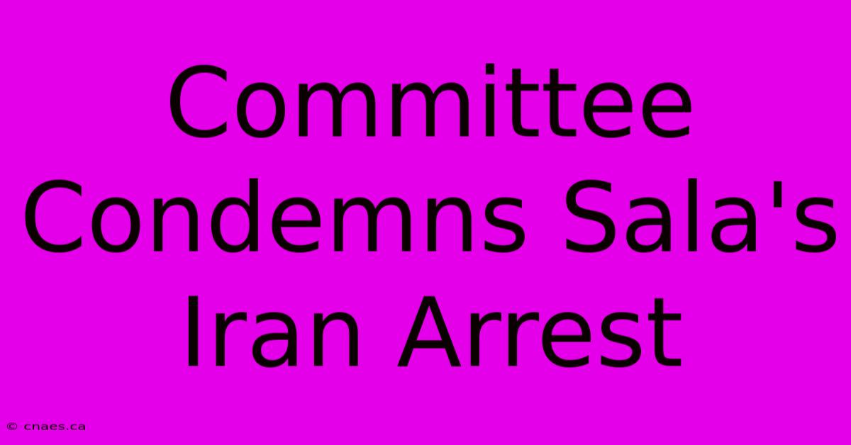 Committee Condemns Sala's Iran Arrest