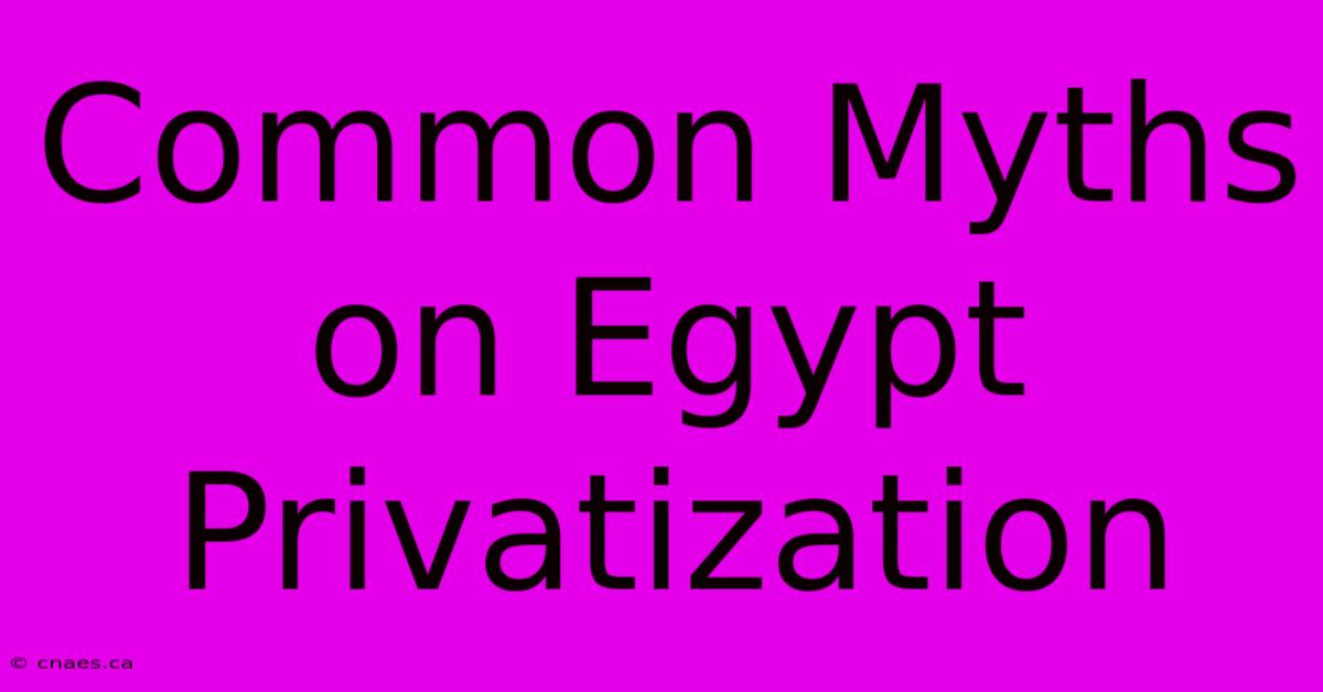 Common Myths On Egypt Privatization