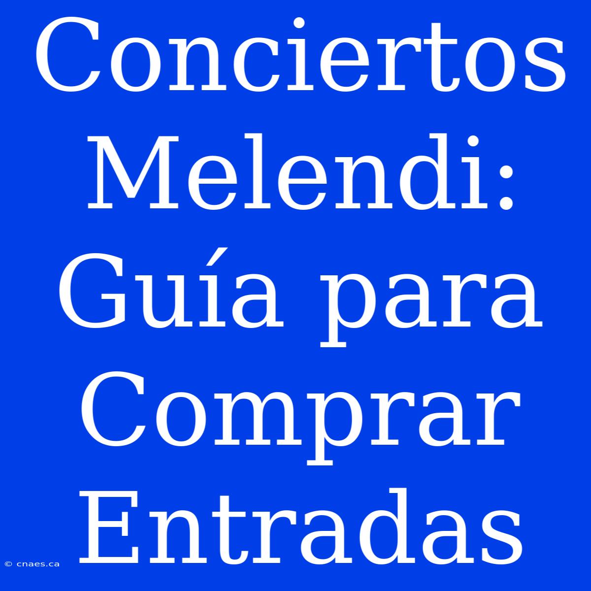 Conciertos Melendi: Guía Para Comprar Entradas