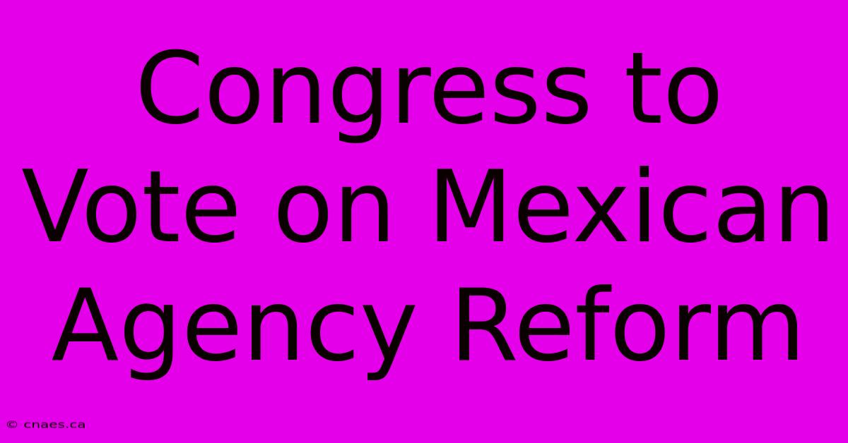 Congress To Vote On Mexican Agency Reform 