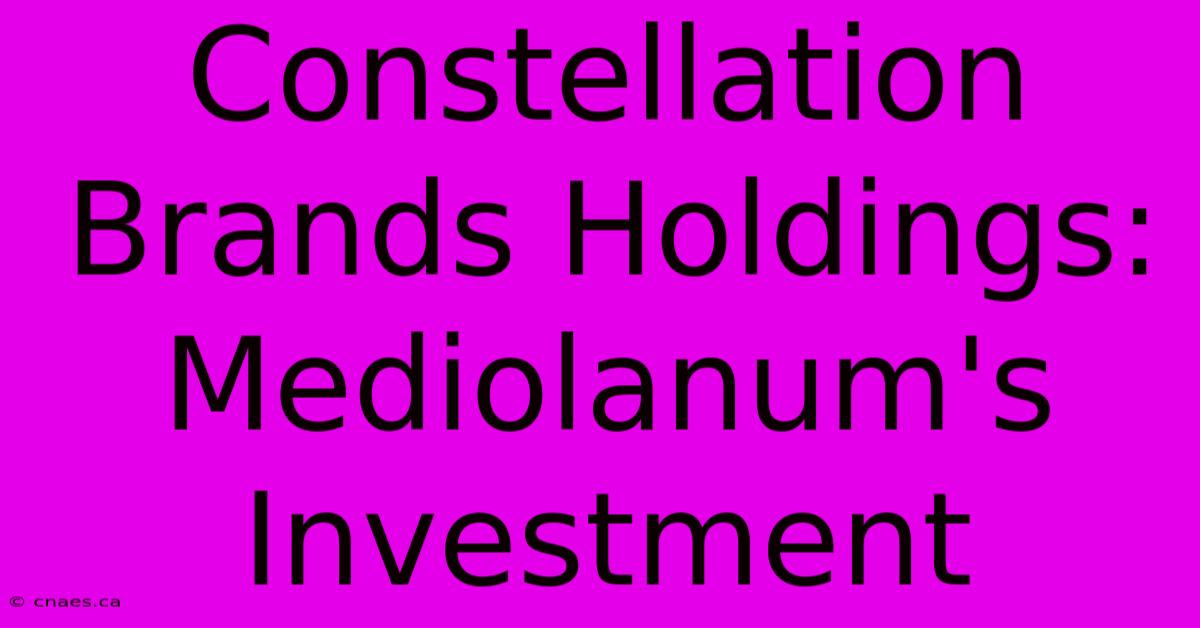 Constellation Brands Holdings: Mediolanum's Investment