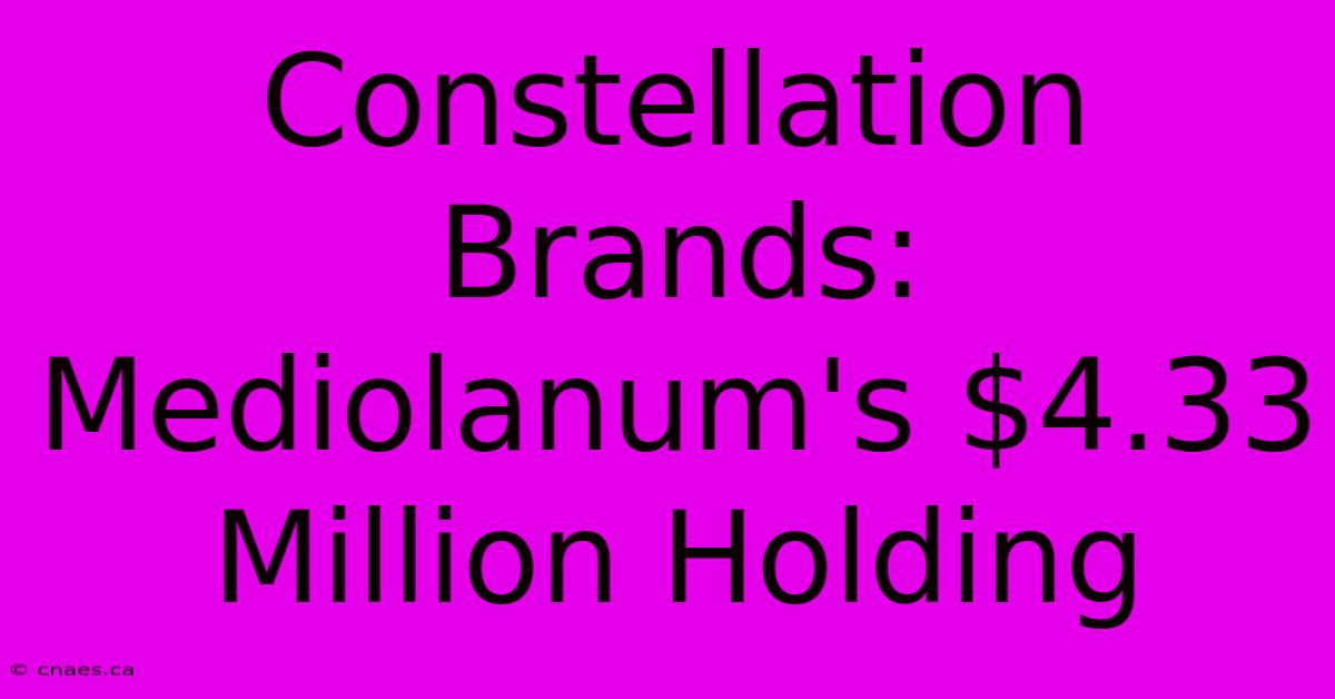 Constellation Brands: Mediolanum's $4.33 Million Holding 