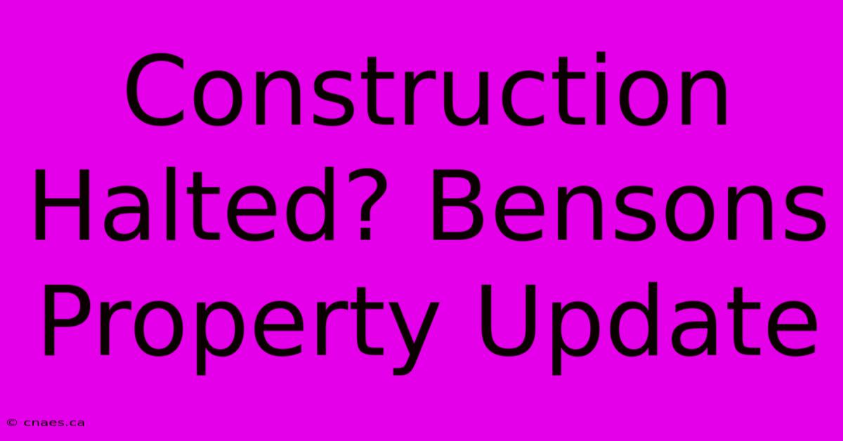 Construction Halted? Bensons Property Update