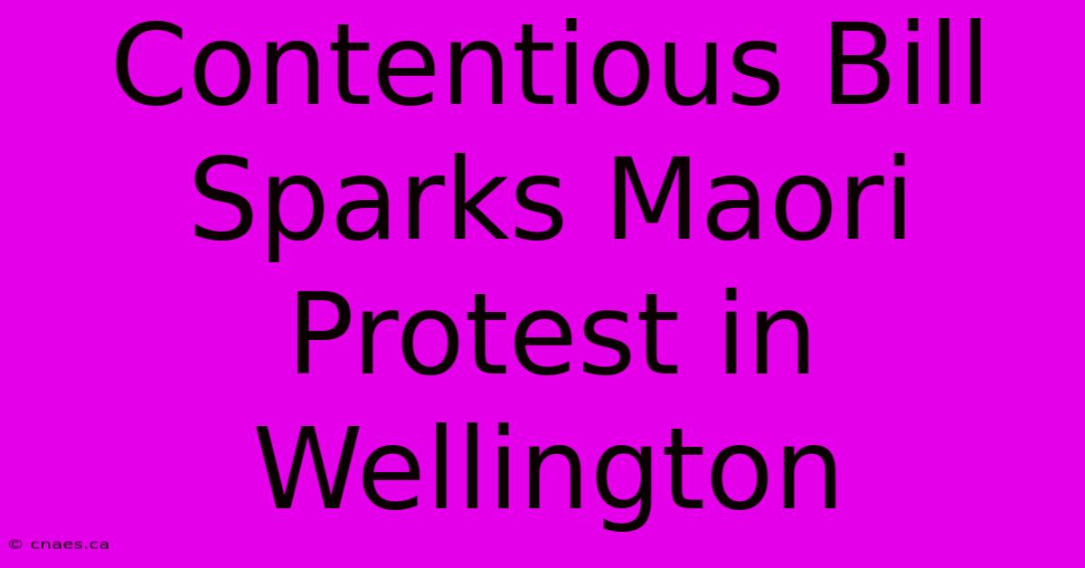 Contentious Bill Sparks Maori Protest In Wellington