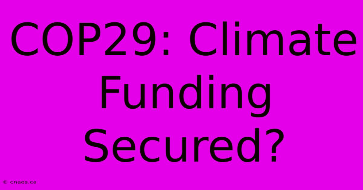 COP29: Climate Funding Secured?