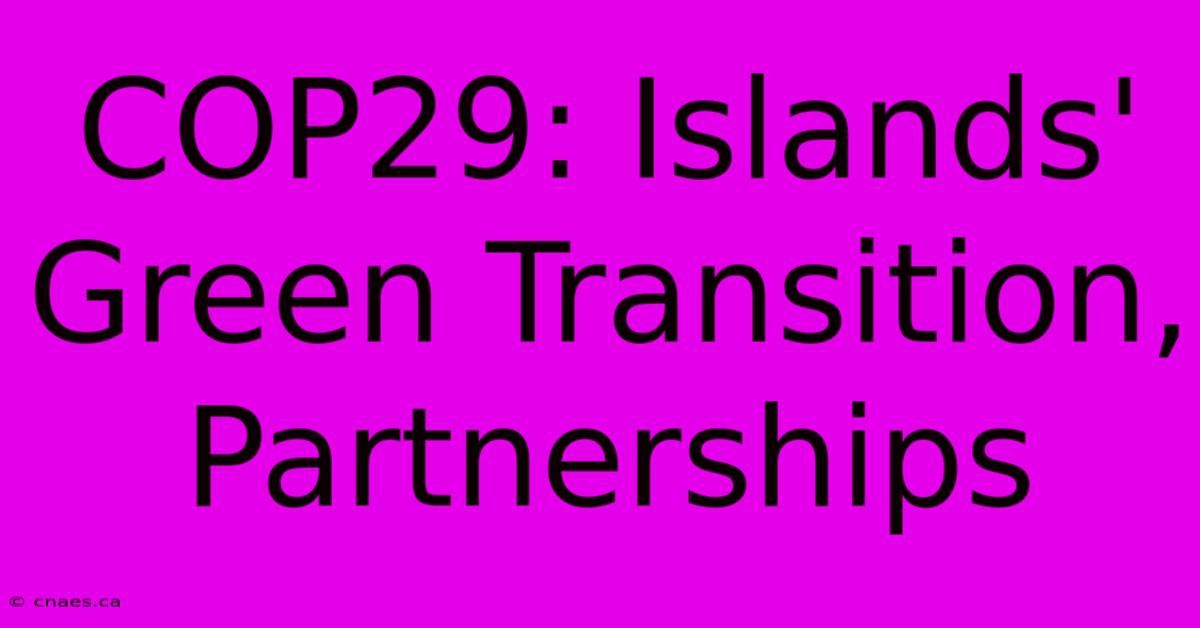 COP29: Islands' Green Transition, Partnerships 