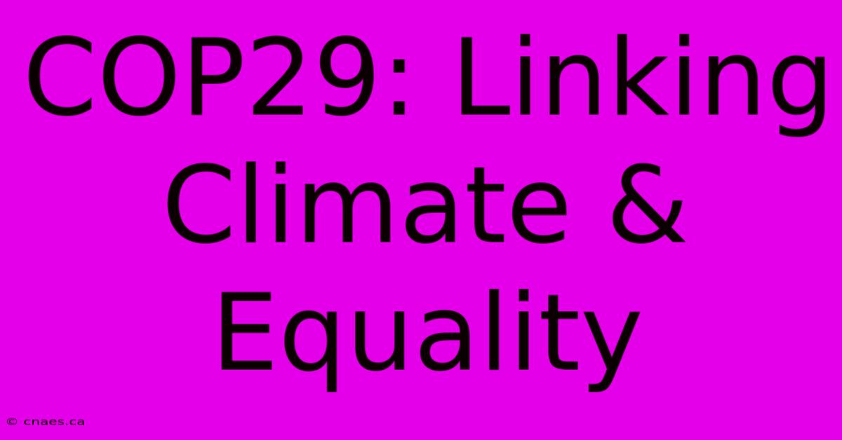 COP29: Linking Climate & Equality